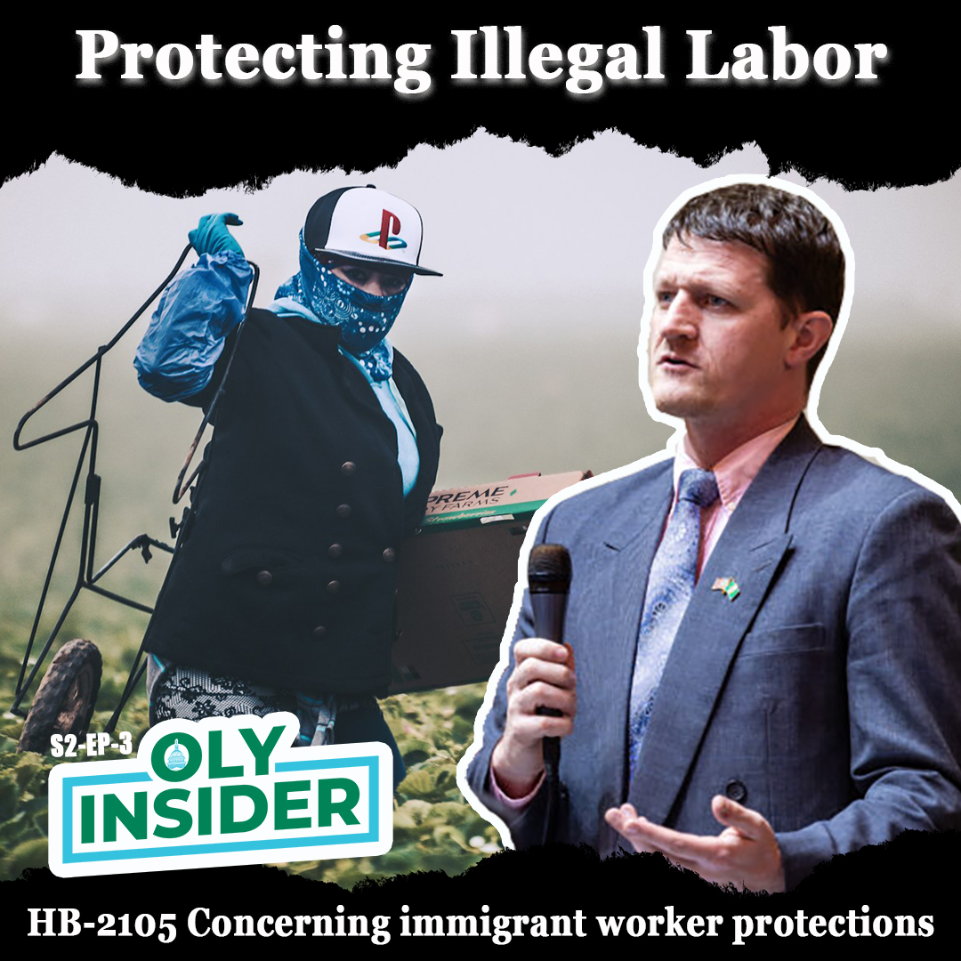 Protecting Illegal Labor